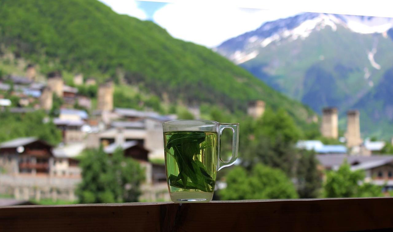 Travel Inn House Mestia • Მოგზაურის Სახლი المظهر الخارجي الصورة
